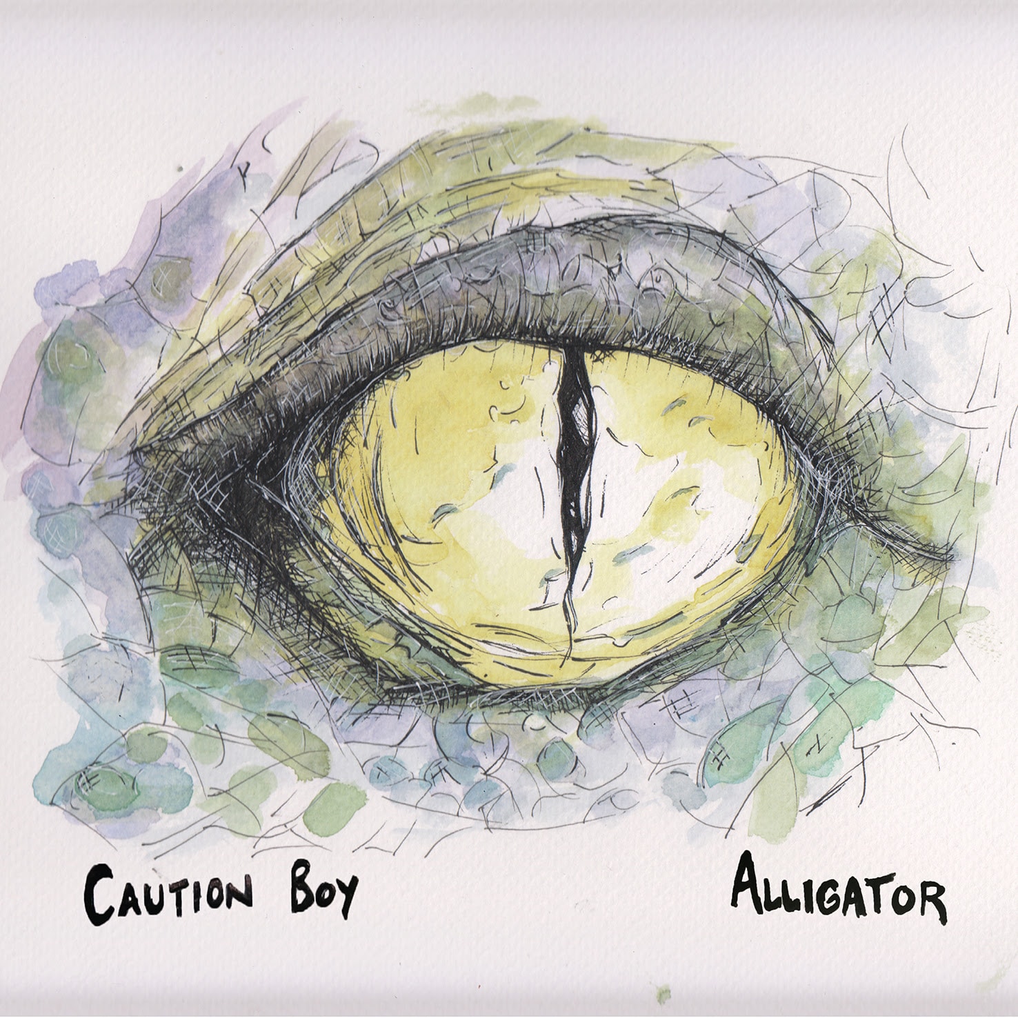 Caution Boy - Alligator