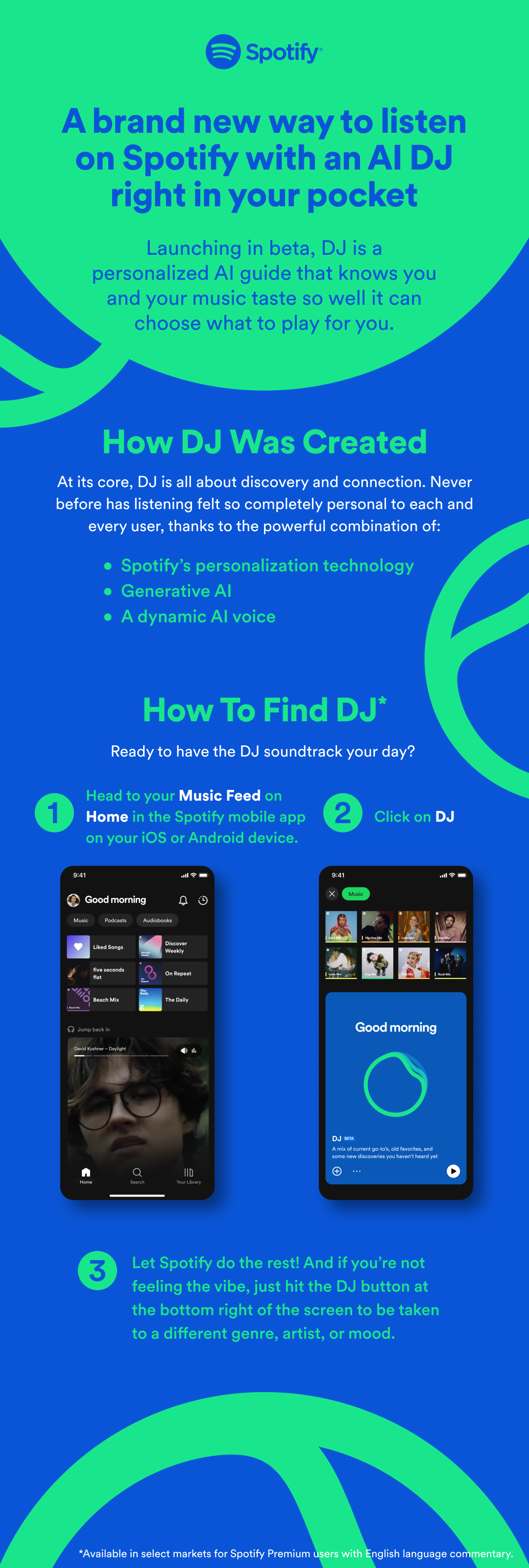 Spotify DJ Infographic